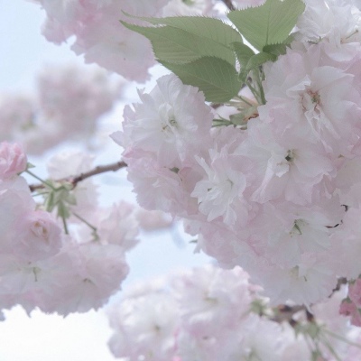 Furry插画创意构思思路FurryQQ群